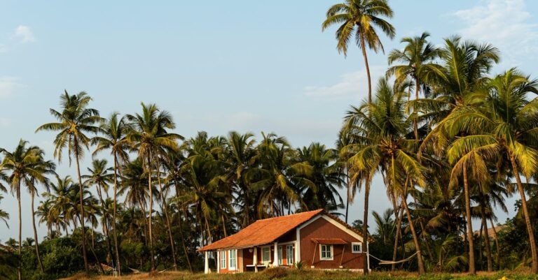 Illustration de Île d'Oléron : Leboncoin condamné pour la taxe de séjour Oleron-island-beach-house