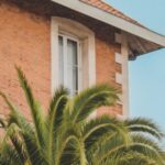 Texas-Capitol-protest