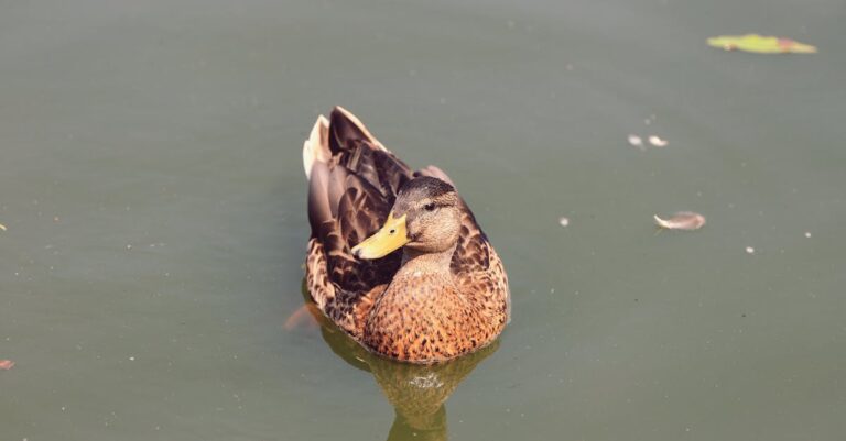 Illustration de Affaire Epstein : les liens troubles des Clinton au cœur d'une enquête bill-clinton-jeffrey-epstein