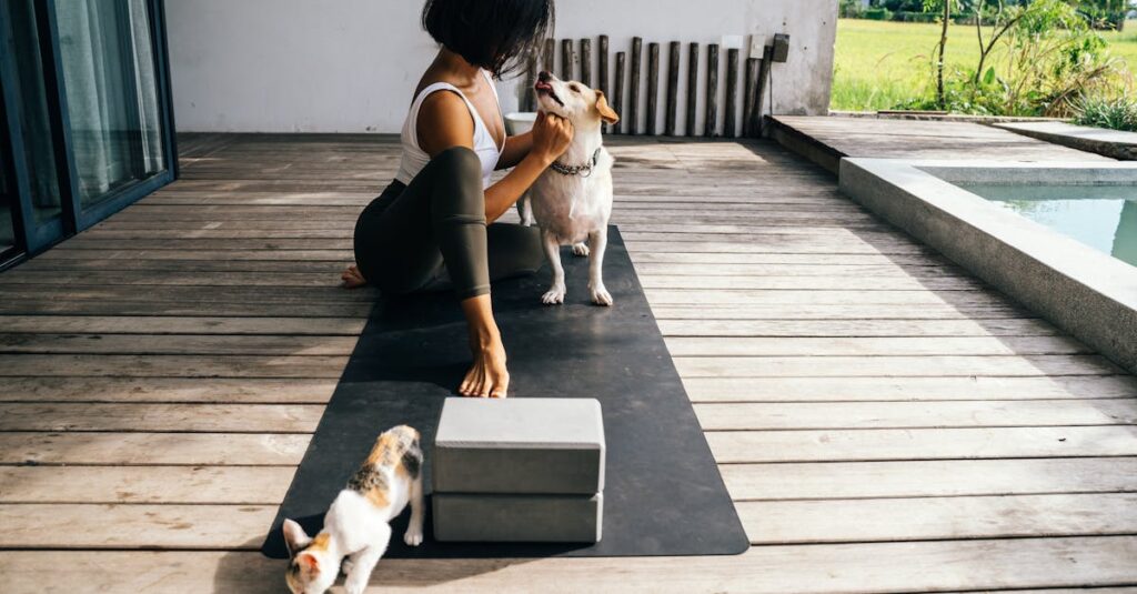 Illustration de Chaleur estivale : protégez vos animaux de compagnie dog-cat-summer