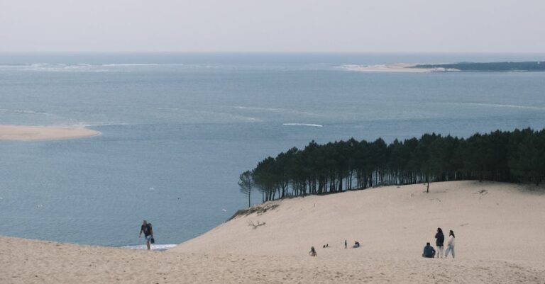 Illustration de Drame en Gironde : un enfant de 4 ans décède par noyade au camping de la Dune dune-du-pilat-camping