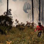 forest-fire-Portugal