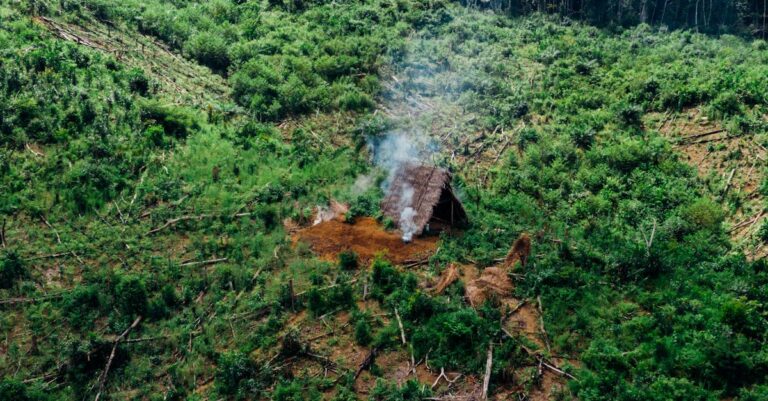 Illustration de Incendie en Charente : 230 hectares brûlés, évacuations en cours forest-fire-aerial