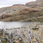 forest-fire-satellite