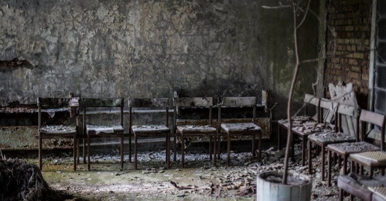 Illustration de Méduses et centrale nucléaire : un arrêt inédit à Gravelines jellyfish-nuclear-plant-1