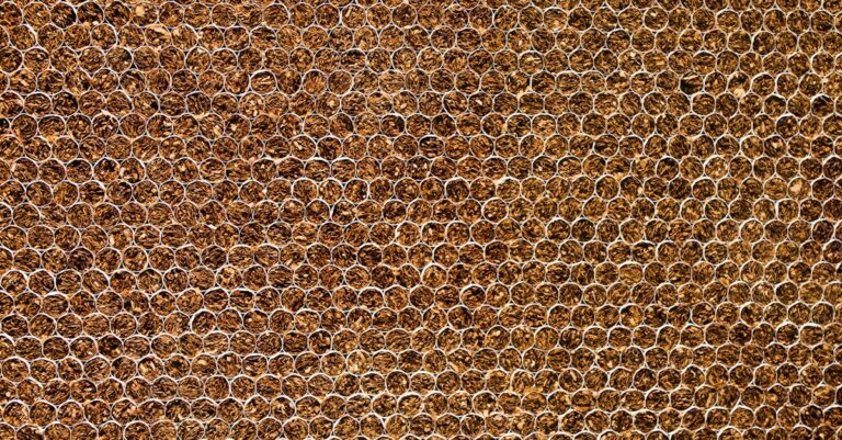 Illustration de Grippe et Covid pourraient réveiller des cellules cancéreuses dormantes lungs-cancer-cells