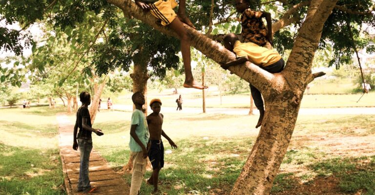 Illustration de Macron reconnaît la "guerre" coloniale de la France au Cameroun macron-cameroon