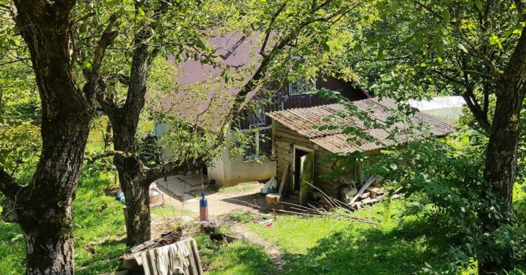 Illustration de Macron : "Cessez-le-feu en Ukraine, la volonté de Trump" macron-trump-ukraine