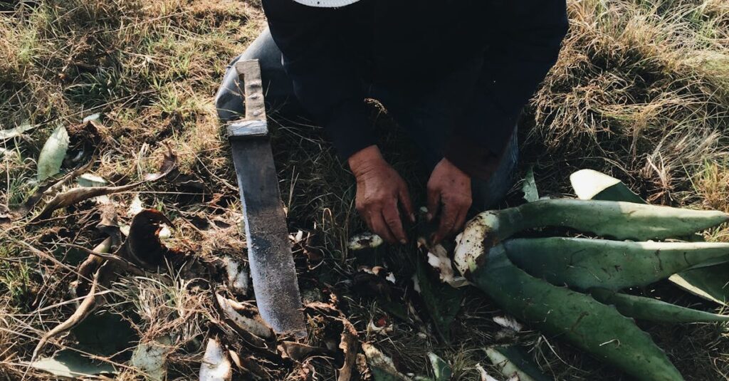 Illustration de Féminicide et intervention fatale en Bretagne man-machete-gendarme