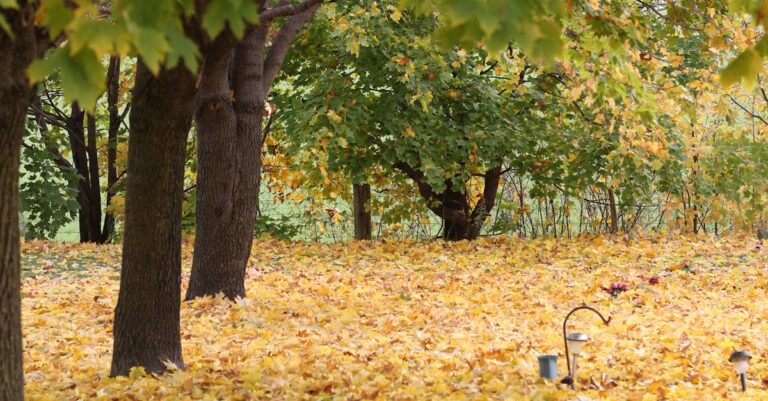 Illustration de Immigration Canada: Nouveaux programmes pour 2025 maple-leaf-Canada