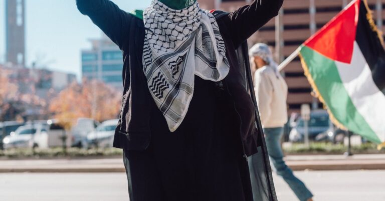 mohammed-mustafa-palestine-un