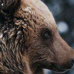 oil-prices-ukraine-russia