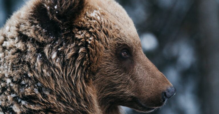 oil-prices-ukraine-russia