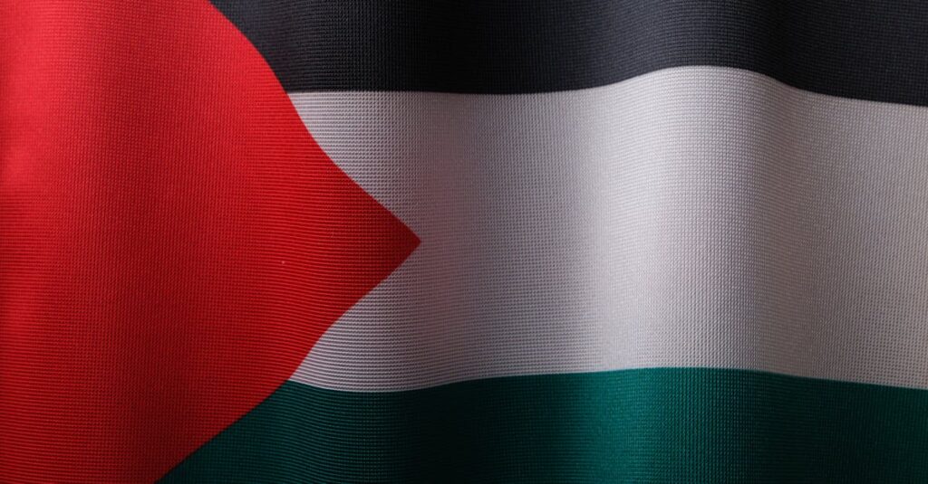 Illustration de Reconnaissance de l'État de Palestine : Un Acte Symbolique Fort palestine-flag-map