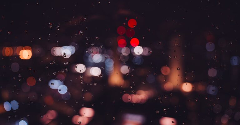 Illustration de Resto-basket : deux touristes flashées par les caméras à Civitanova restaurant-security-cameras