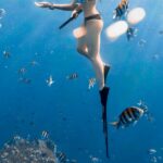 uss-higgins-scarborough-reef