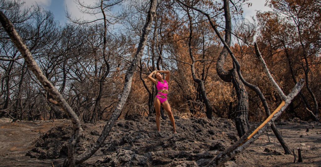 Illustration de Rave party dans l'Aude : les organisateurs s'excusent après la polémique Aude-Corbieres-burnt-landscape