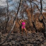 Aude-Corbieres-burnt-landscape