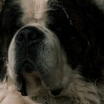 Bernard-Arnault-LVMH