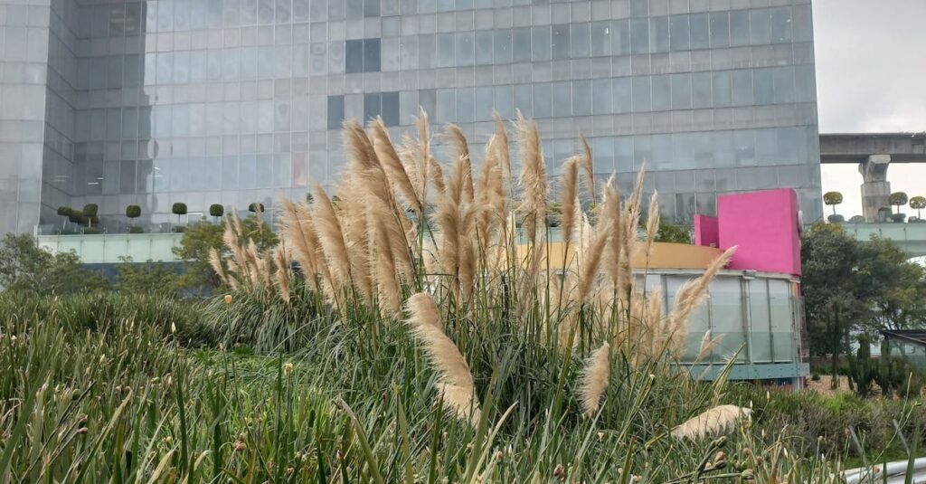 Illustration de Microsoft supprime 10% de ses effectifs en France, 200 postes concernés Microsoft-office-building