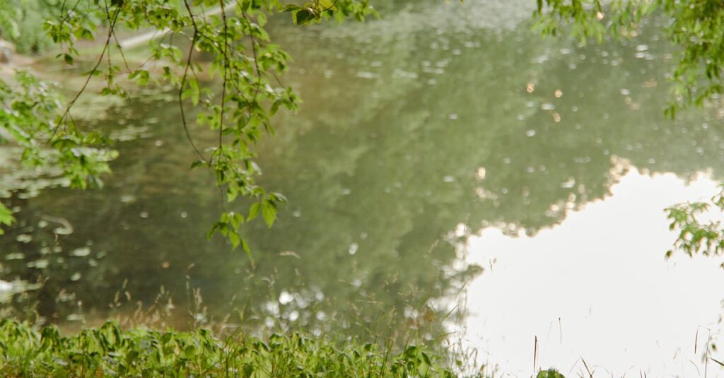 Illustration de Pénurie d'eau Mont Roucous : pourquoi les rayons sont-ils vides ? Mont-Roucous-water-bottles