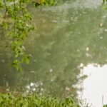 Mont-Roucous-water-bottles