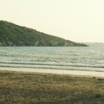 Nicolas-Sarkozy-court-5