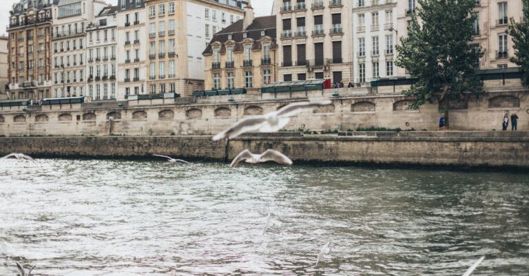 Paris-city-hall-finance