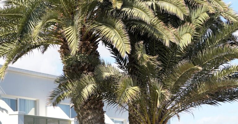 Illustration de Stephen Miran rejoint la Fed : tension sur l'indépendance de la banque centrale Stephen-Miran-White-House