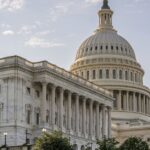 olivier-faure-politics