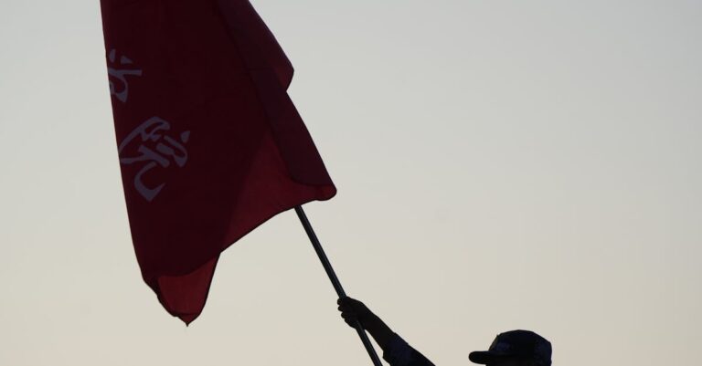 Illustration de Autorité palestinienne : rôle, limites et dépendance palestinian-authority-flag