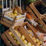 urban-farm-organic-vegetables