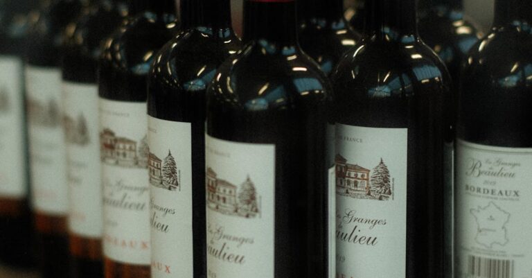 Illustration de Vignoble Bordelais : le rôle crucial de la main-d'œuvre étrangère vignoble-bordeaux-workers