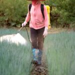 vineyard-pesticide-spraying