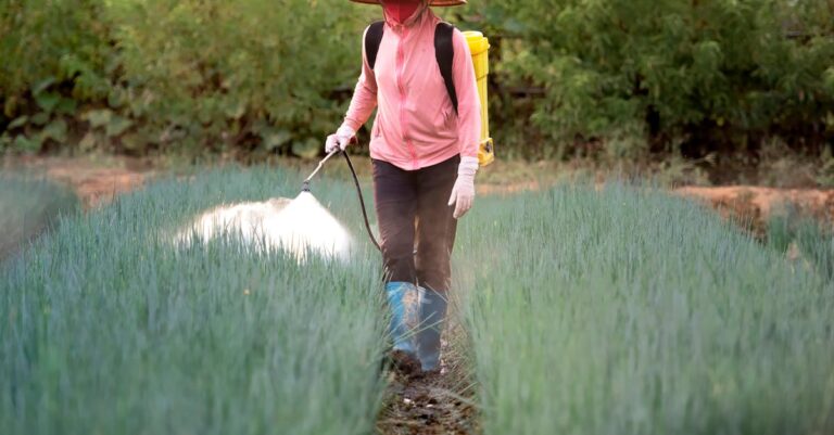 Illustration de Pesticides: vivre près des vignes augmente l'exposition vineyard-pesticide-spraying