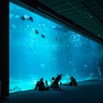 France-public-debt-1