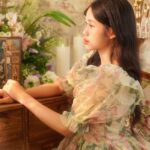 French-presidents-portraits