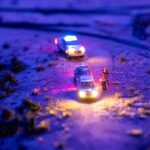 Halima-Ben-Ali-arrest