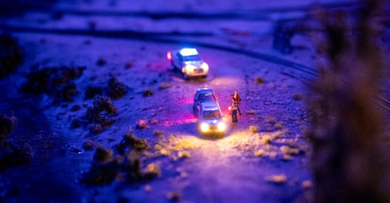 Halima-Ben-Ali-arrest