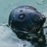 Marine-Tondelier-speaking