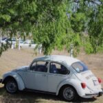 Nicolas-Sarkozy-in-car
