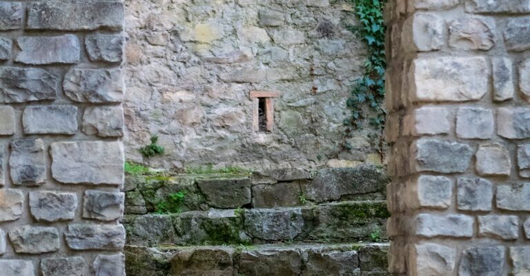 Illustration de 80 ans de Sécurité sociale : genèse d'un modèle français unique Pierre-Laroque-Ambroise-Croizat