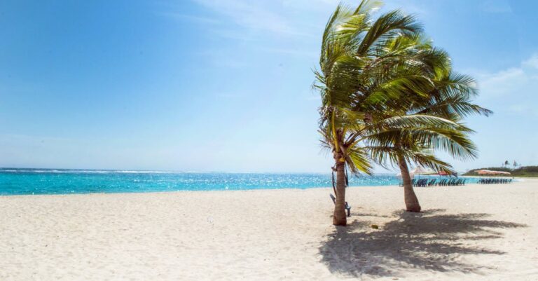 Illustration de Trump évoque des frappes terrestres contre les cartels vénézuéliens Trump-Venezuela