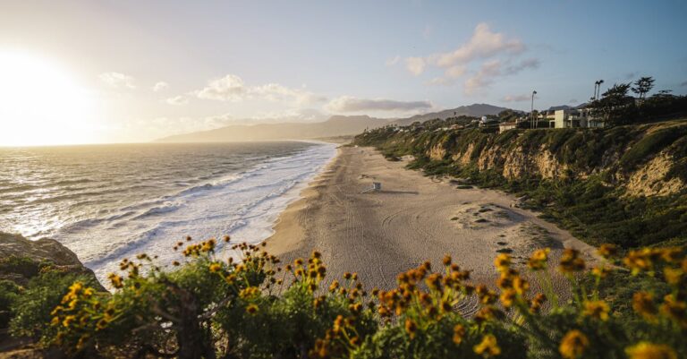 Illustration de Cisjordanie : comprendre son histoire et l'occupation en 3 minutes West-Bank-landscape