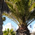 White-House-Trump-Netanyahu-Gaza