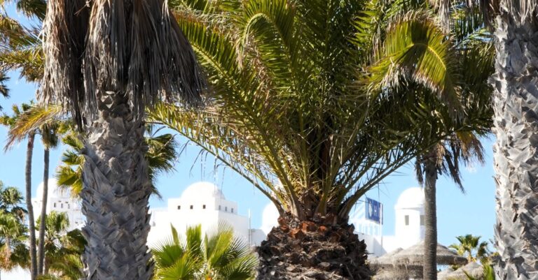 Illustration de Plan Trump pour Gaza : 20 points pour une paix contestée White-House-Trump-Netanyahu-Gaza