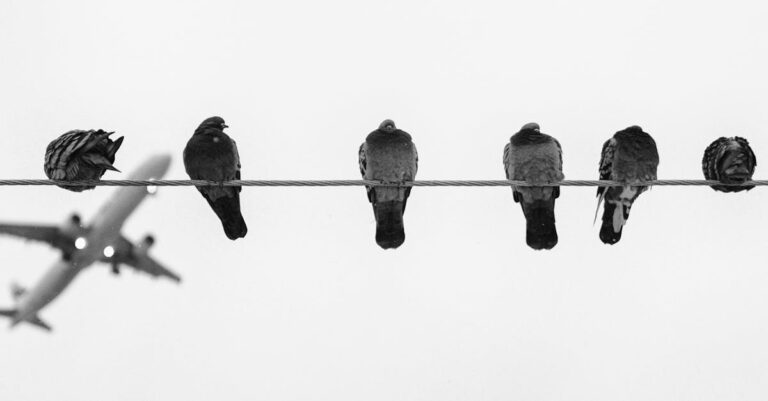 Illustration de Un avion United Airlines percuté par un mystérieux objet airplane-windshield-impact