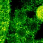 cancer-cell-research