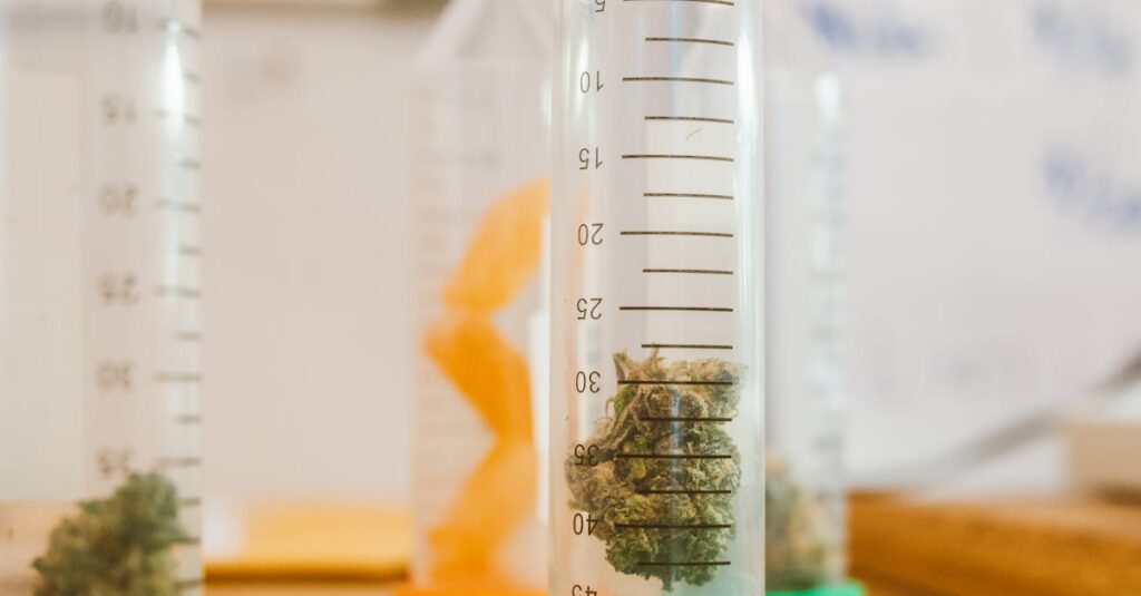 Illustration de Jazz Pharmaceuticals innove avec des médicaments à base de cannabis cannabis-plants-laboratory