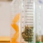cannabis-plants-laboratory